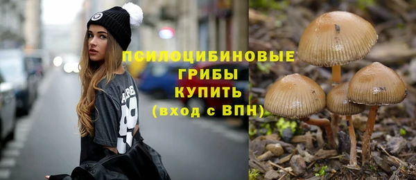 2c-b Беломорск