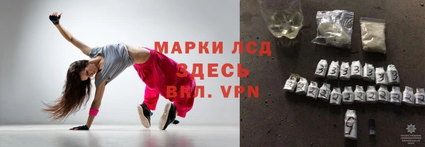 ECSTASY Белокуриха