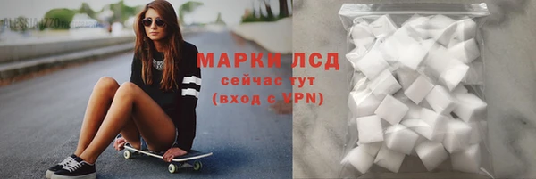 ECSTASY Белокуриха