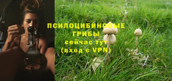 ECSTASY Белокуриха
