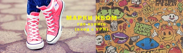 ECSTASY Белокуриха