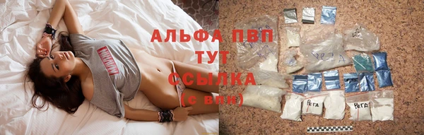 ECSTASY Белокуриха