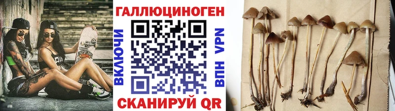 Псилоцибиновые грибы Magic Shrooms  ОМГ ОМГ tor  Юрьевец 